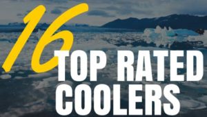 16 Top Rated Coolers