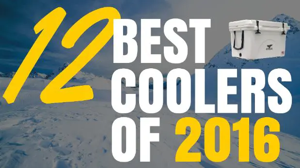 12 Best Coolers Of 2016