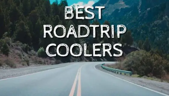 Best Roadtrip Coolers