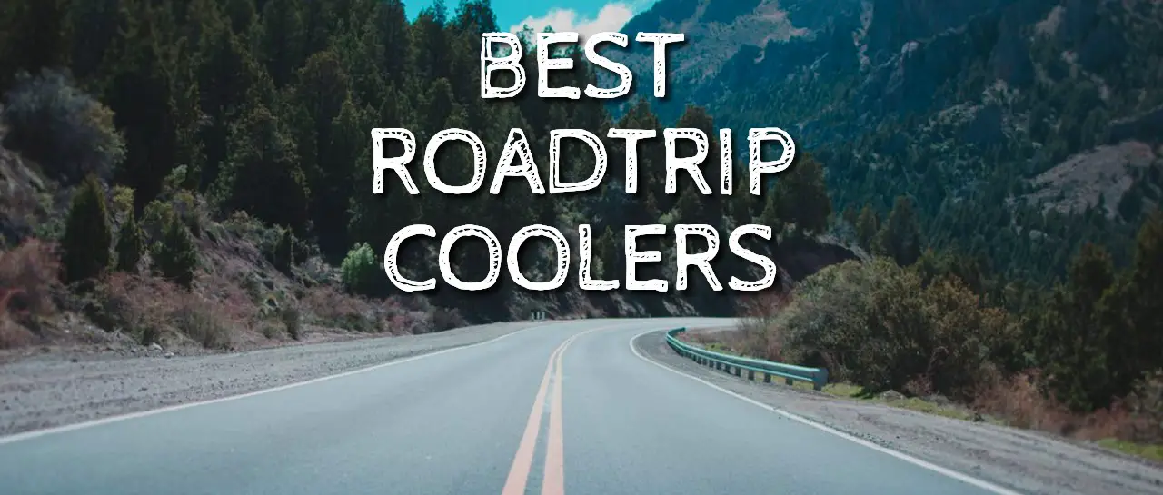 Best Road Trip Coolers For Your Next Adventure