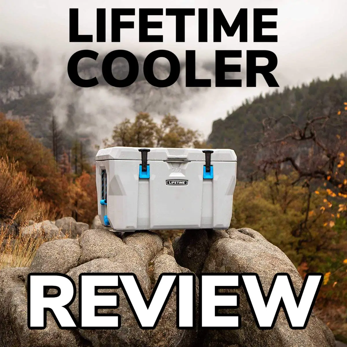 Lifetime Cooler Review: The Best Cooler Under $100