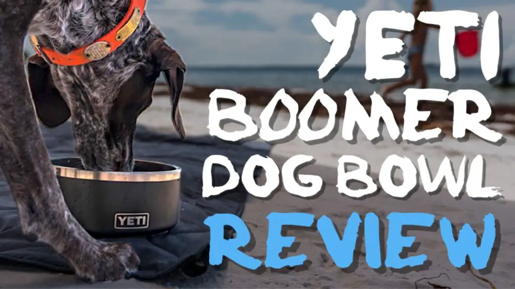 Yeti Boomer Dog Bowl Review