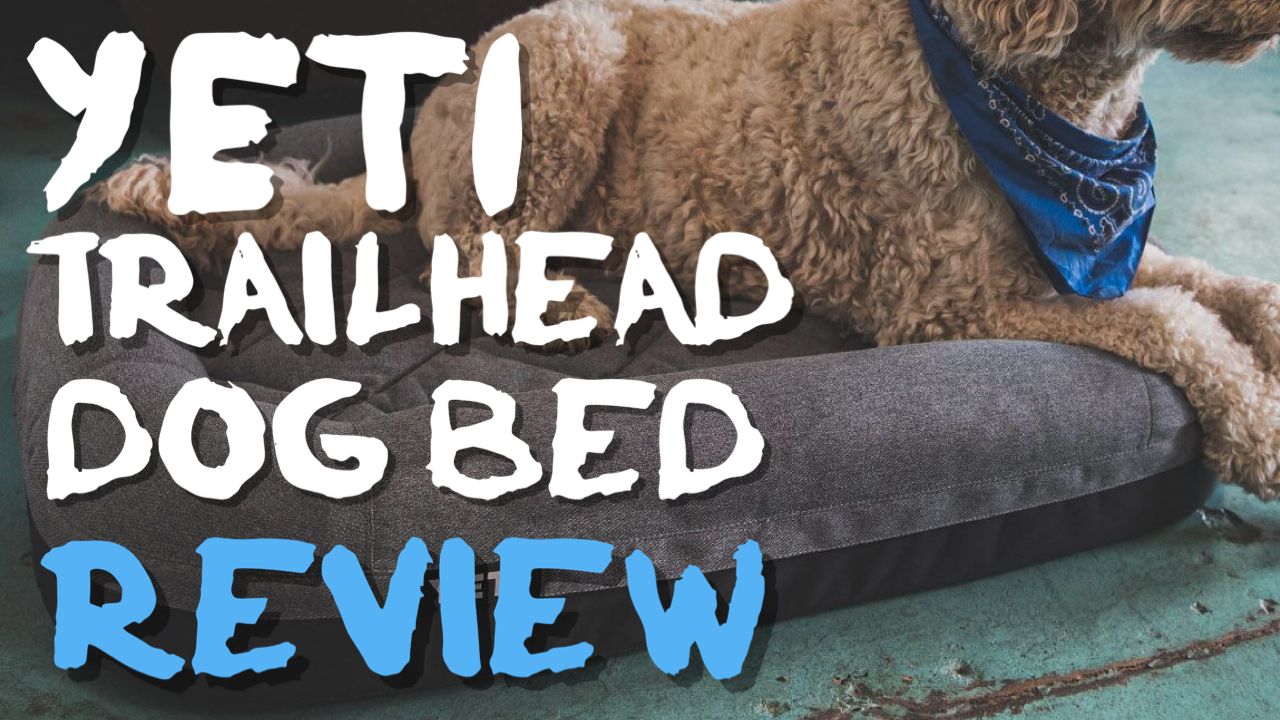 Yeti Trailhead Dog Bed Review: Is It Worth The Hefty Price Tag?