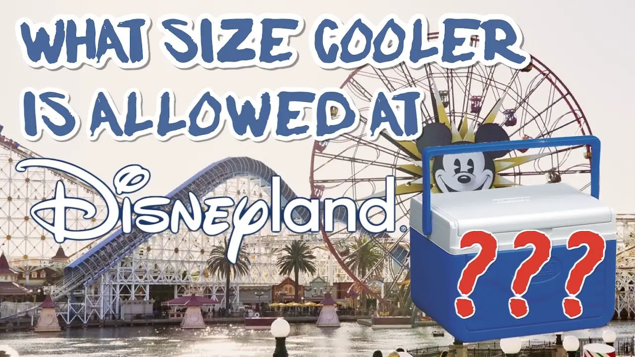 What Size Cooler Is Allowed at Disneyland/Disneyworld?