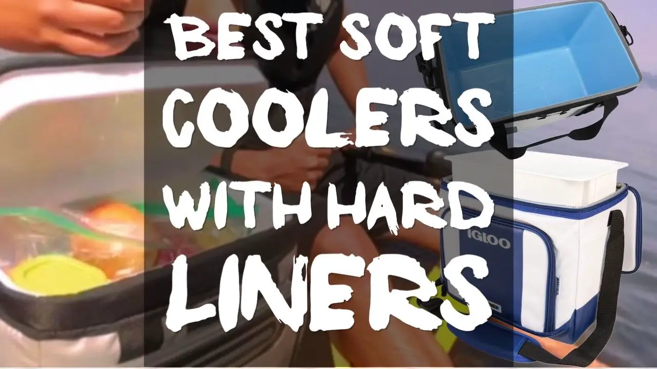 best-soft-coolers-with-hard-liners