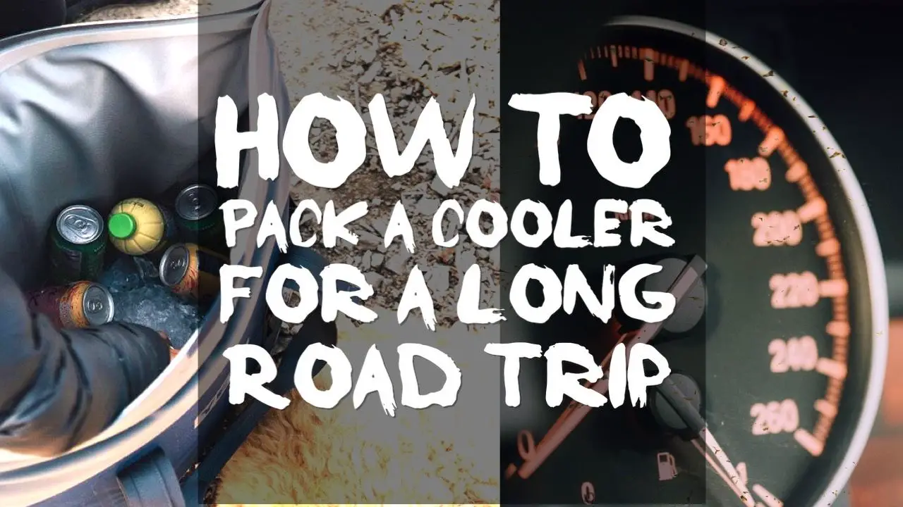 How To Pack a Cooler For a Long Road Trip