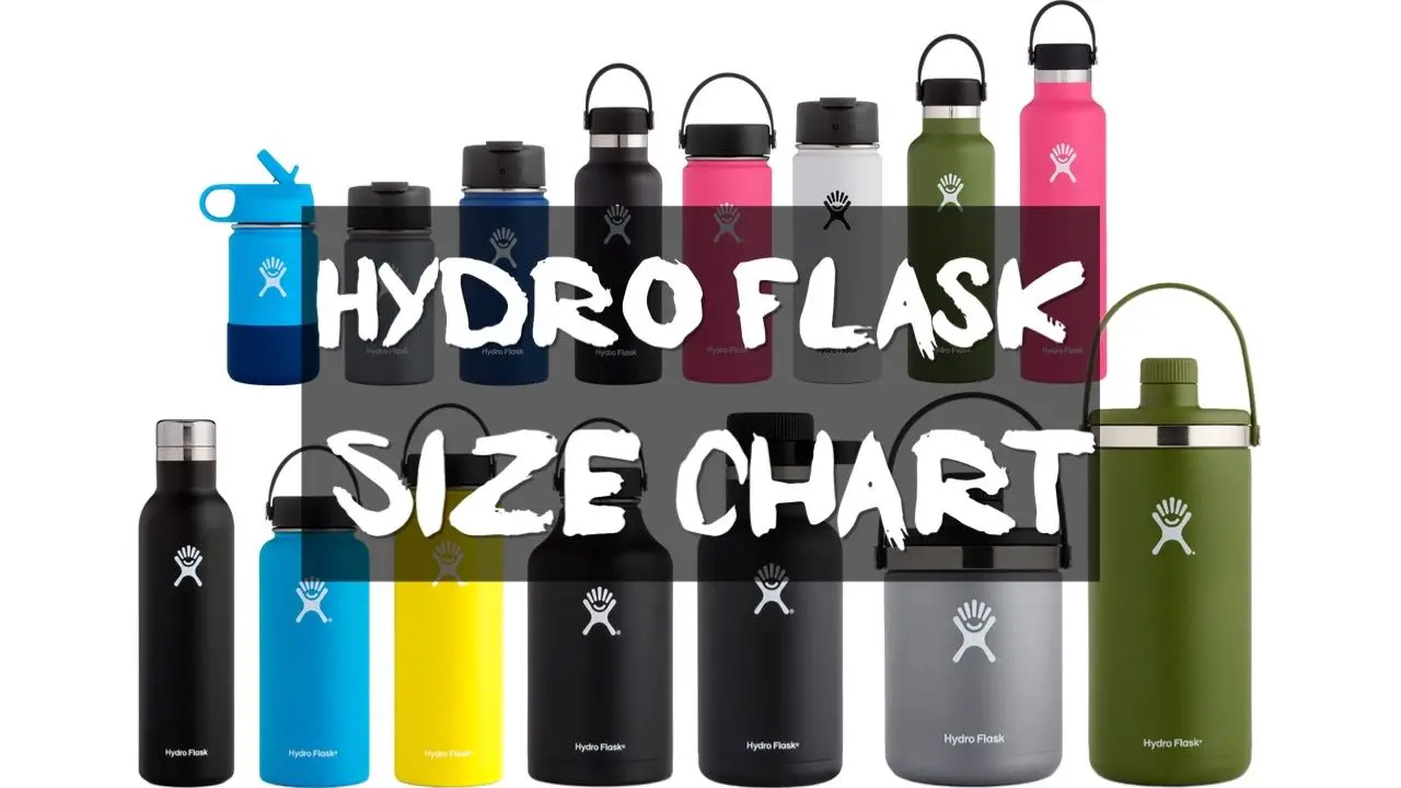 hydro-flask-size-chart-to-scale