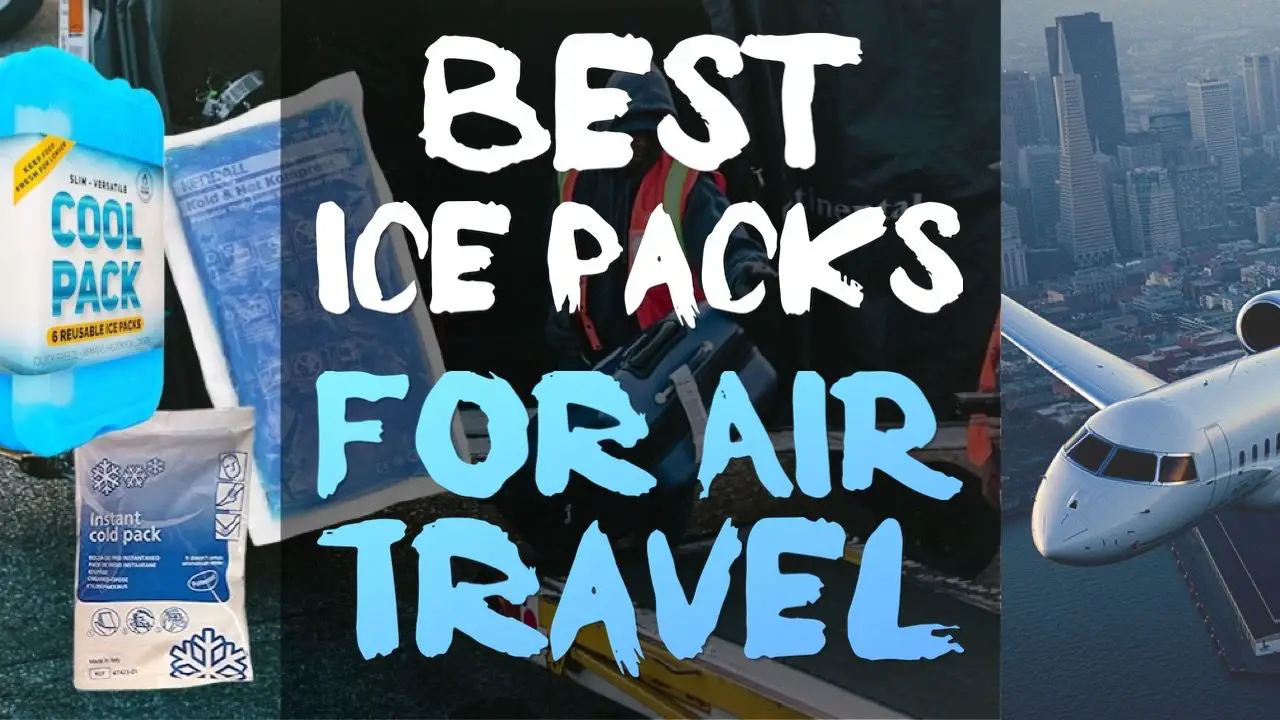 Best Ice Packs For Air Travel: What You Can and Can’t Bring