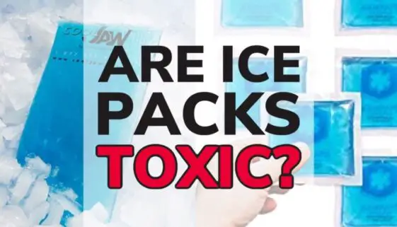 Is The Liquid In Ice Packs Toxic or Poisonous?