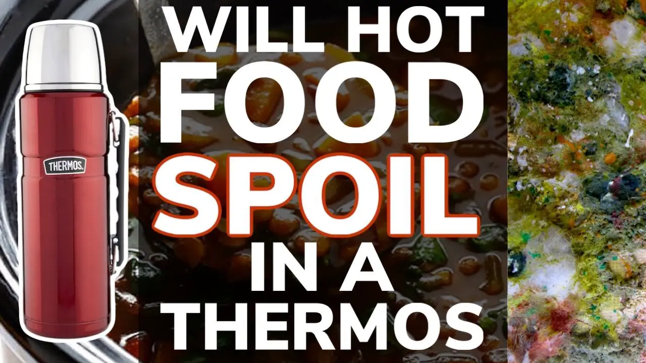 Will Hot Food Spoil in a Thermos?