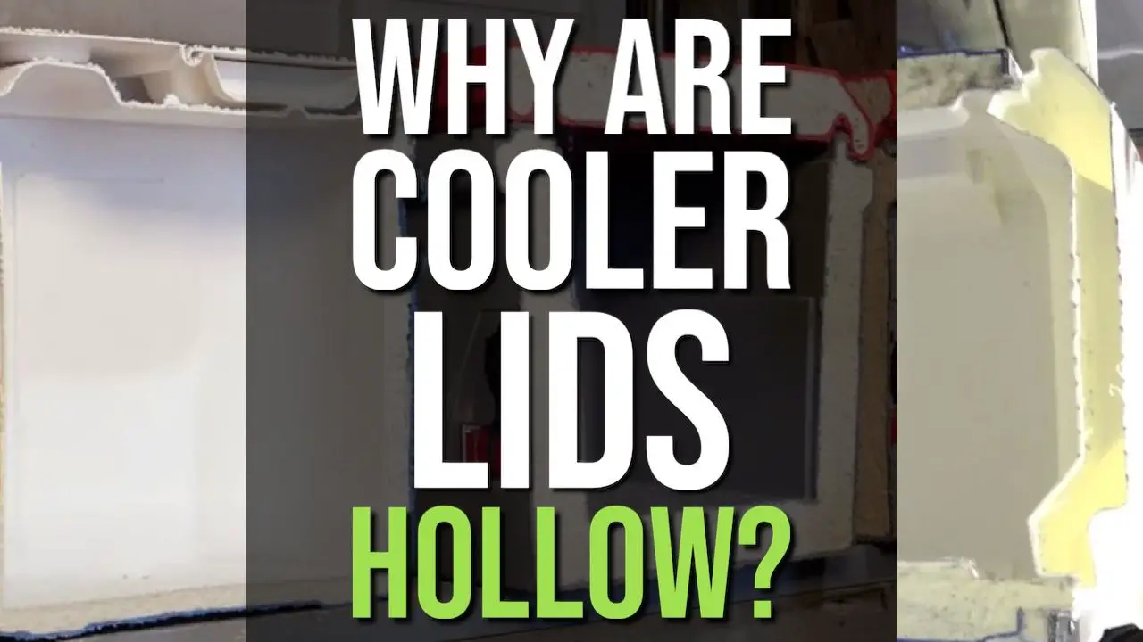 Why Are Cooler Lids Hollow? Plus How To Insulate It